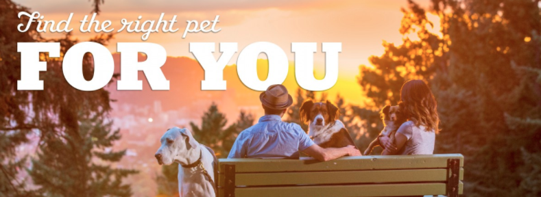 Find the right pet for you