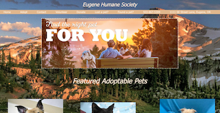 Animal Shelter Page