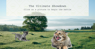 The Ultimate Cat vs Dog showdown