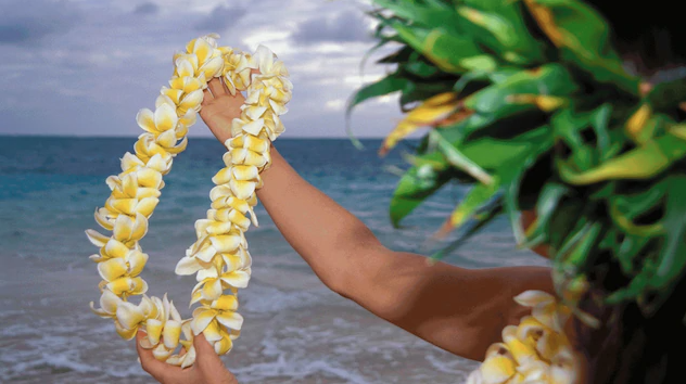 A person holding a flower lei