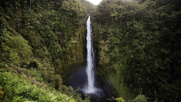 Hawaii waterfall